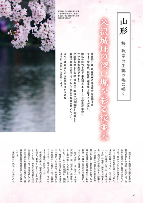 sakura_2
