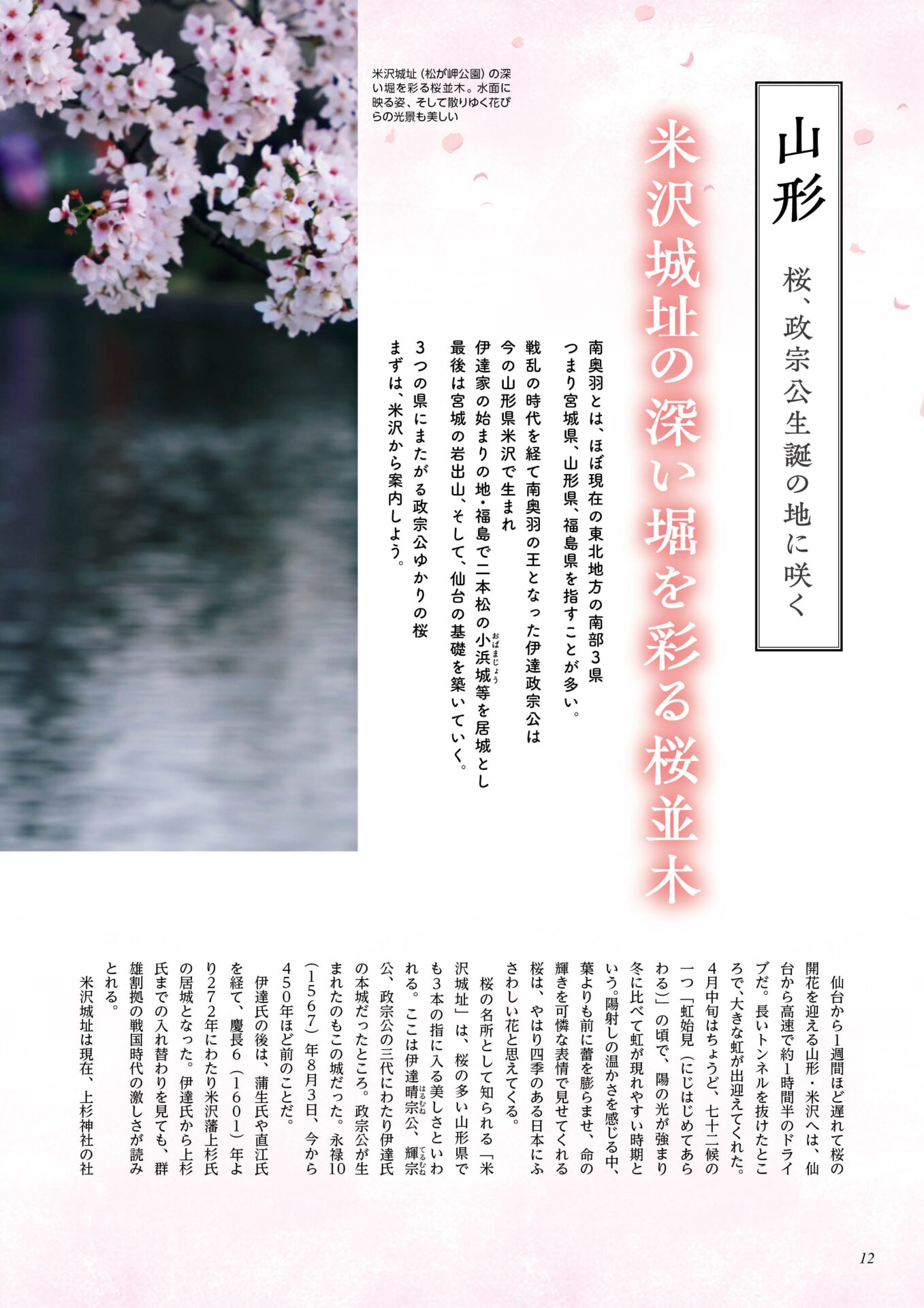 sakura_2