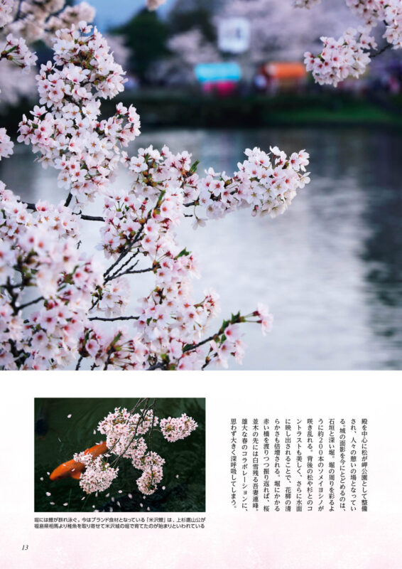 sakura_3