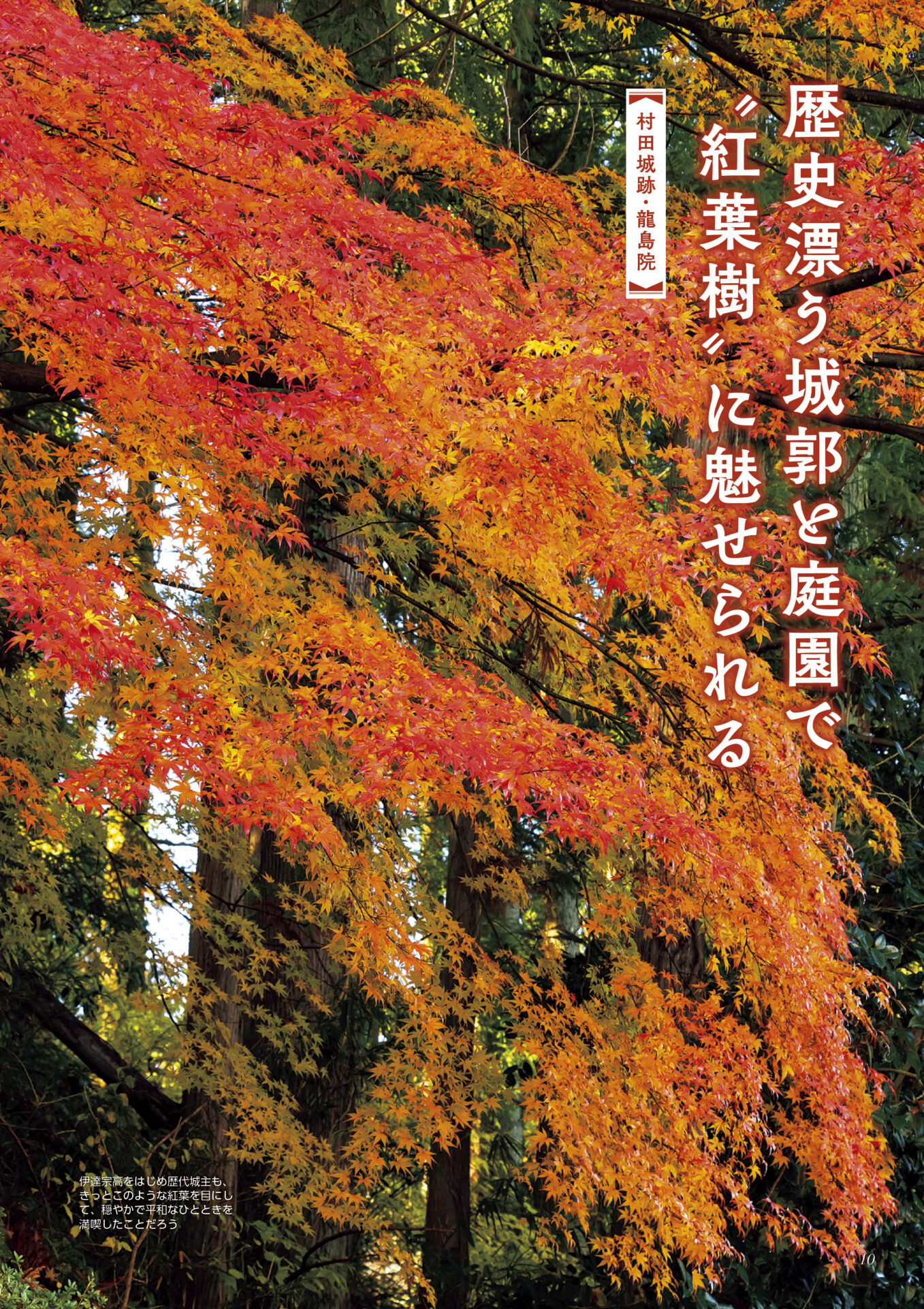 koyo_2