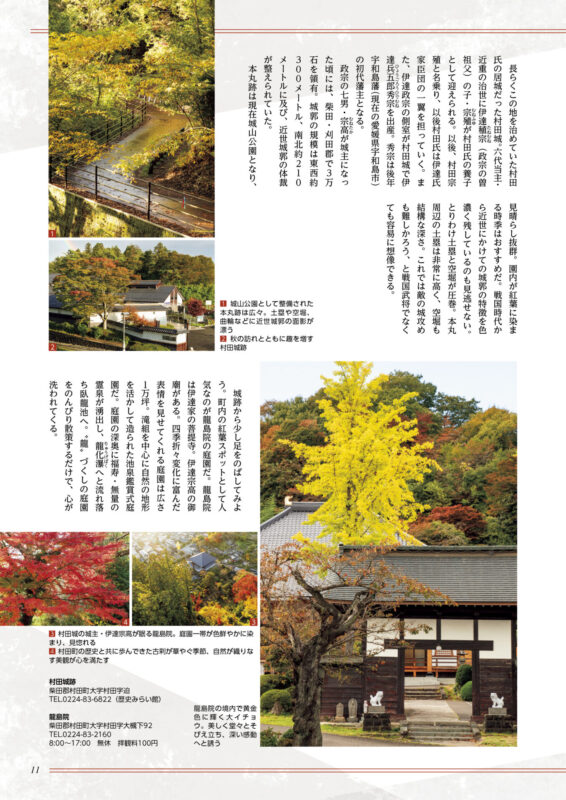 koyo_3