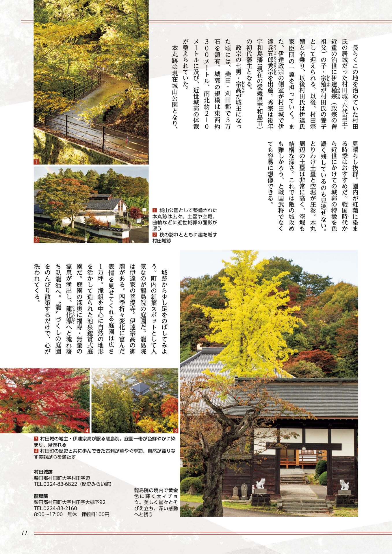 koyo_3